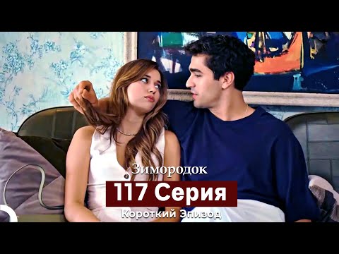 Видео: Зимородок 117 Cерия (Короткий Эпизод) (Русский дубляж)