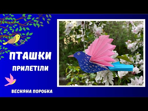 Видео: Пташки прилетіли.