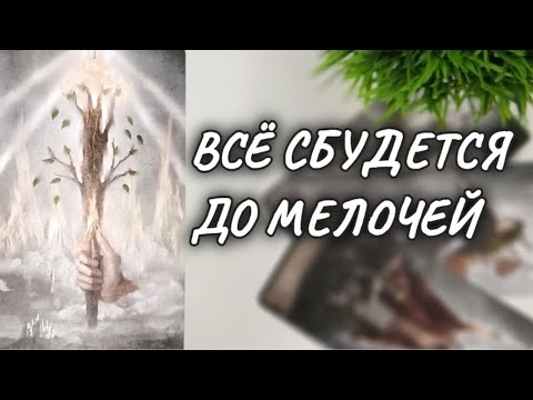 Видео: 🍁Точный Прогноз на НОЯБРЬ‼️Что ждать ожидать от Мужчины💯✨#узнатьсудьбу #чтодумаетобомнеон #таролог