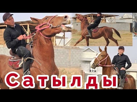 Видео: Чыкты Сатылды✊️