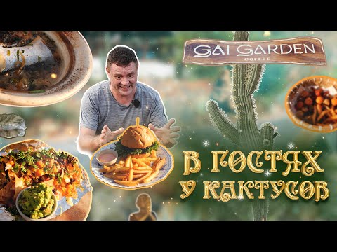 Видео: Обзор Gai Garden Coffee. Домашняя кухня и Крутые фотки!