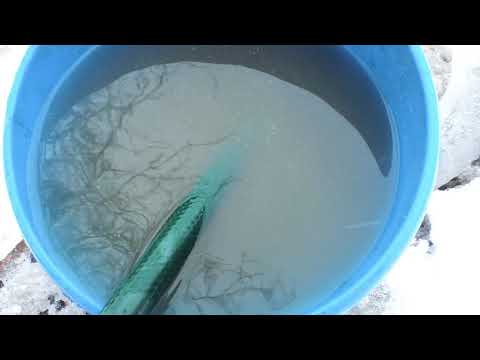 Видео: Скважина на болоте из канализационной трубы 160мм.