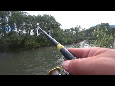 Видео: Хакасия! Река Черный Июс!