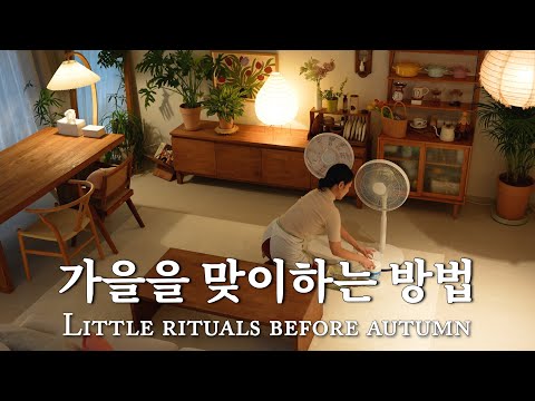 Видео: 7 дел перед осенью 🍂 | находки из Daiso, пересадка растений и уборка | кимчи и удон