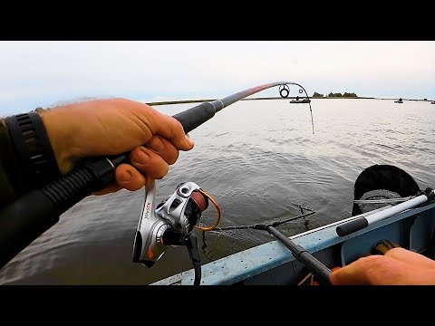 Видео: Ловля на донку на Дону! Смена тактики   и вот он улов! Сазан, лещ и карась!