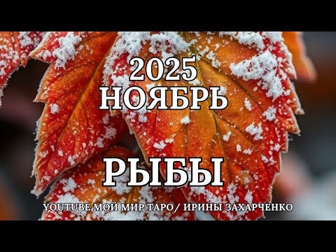 Видео: РЫБЫ ♓🍂НОЯБРЬ 2025🍁Таро прогноз для Рыб/Tarot forecast from Pisces.