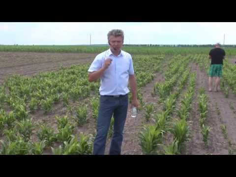 Видео: Ошибки в настройке No-till сеялок