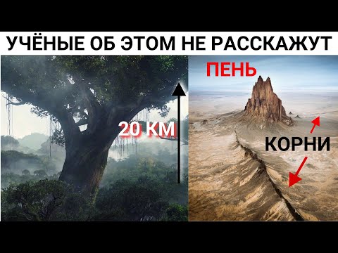 Видео: До захвата на Земле росли деревья 20 км высотой