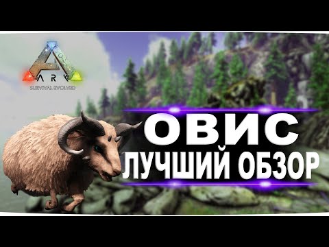 Видео: Овис (Ovis) в АРК. Лучший обзор: приручение, разведение и способности  овцы в ark.