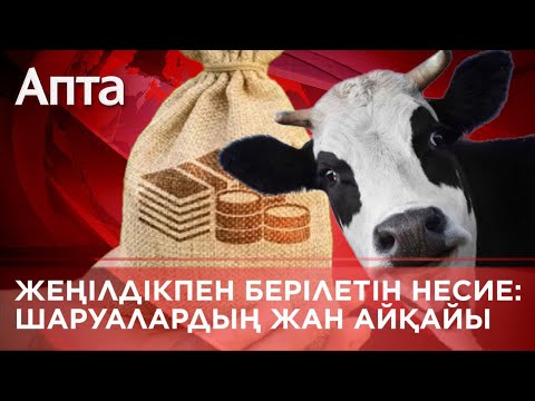 Видео: Жеңілдікпен берілетін несие: Шаруалардың жан айқайы