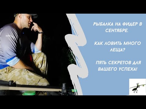 Видео: Рыбалка на фидер в сентябре. Как ловить много леща? Пять секретов для вашего успеха!