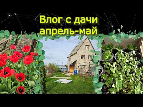 Видео: Первый влог с дачи! Уборка, рассада, еда)