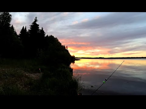 Видео: Наконец - то я его поймал! Рыбалка с ночевкой! Донки на живца!