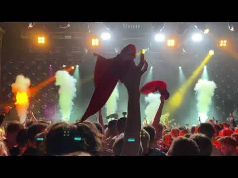 Видео: Пошлая Молли - Буду твоим песиком live @Prime Hall