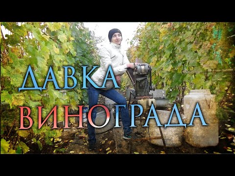 Видео: Давка винограда на самодельном приспособлении.