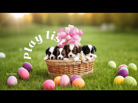 Видео: 𝐏𝐥𝐚𝐲𝐥𝐢𝐬𝐭 [Cafe] Влюбляешься с первого трека🎵 Осенний плейлист для хорошего настроения🍁