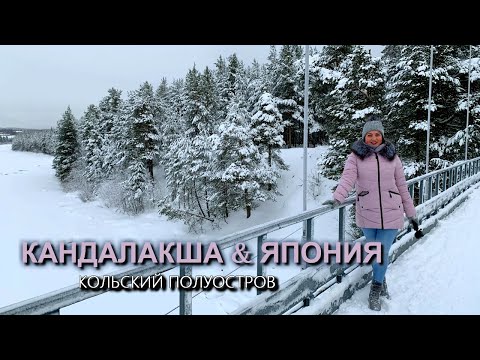 Видео: Кольский полуостров. Настоящая русская зима! Кандалакша, Мурманская область. Япония у Белого моря