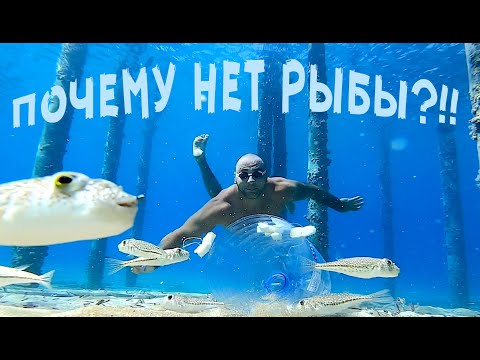 Видео: Подводный мир | Северный Кипр |Почему в море нет рыбы ?