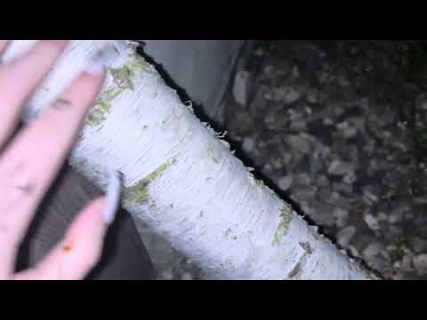 Видео: АСМР НА УЛИЦЕ В 3 часа ночи