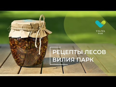 Видео: Рецепт варенья из сосновых побегов | Viliya Park