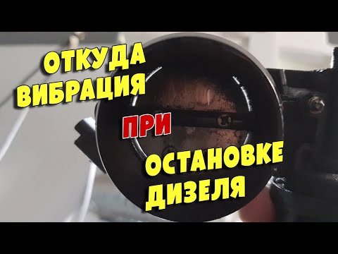 Видео: Почему дизель глохнет с вибрацией, Citroen C5 2.0D, RHL