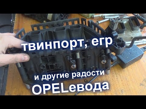 Видео: TWINPORTи прочие проблемы Z10XER ОПЕЛЬ