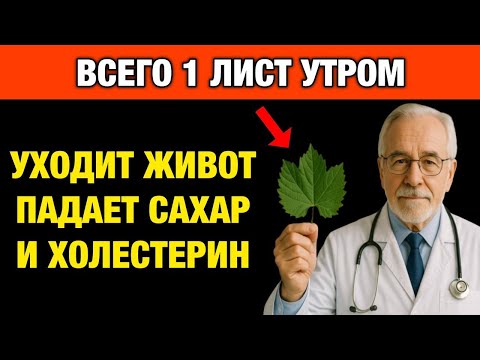 Видео: ВСЕГО 1 ЛИСТ УТРОМ! Снижает давление, сахар и чистит сосуды