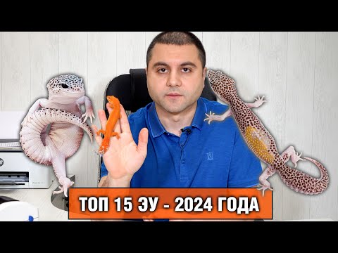 Видео: Самые интересные и необычные гекконы эублефары нашего питомника