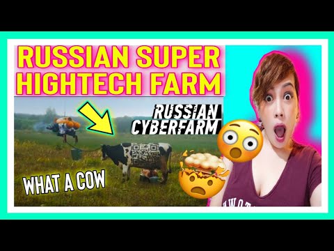 Видео: RUSSIAN CYBERPUNK FARM // РУССКАЯ КИБЕРДЕРЕВНЯ | REACTION!🇷🇺♥️