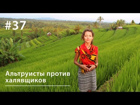 Видео: Давайте по справедливости: альтруисты против халявщиков // Всё как у зверей #37