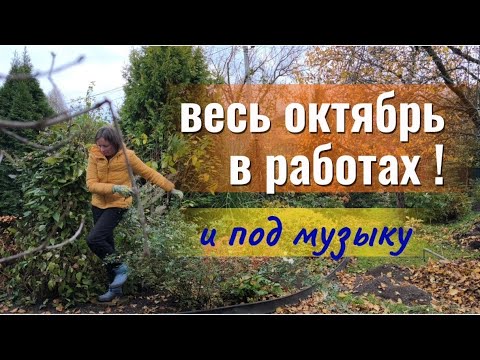 Видео: Привожу сад в порядок. Хосты в теплицу. Обрезка и уборка.