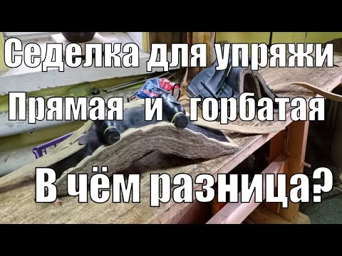 Видео: Горбатая и Прямая седелки для упряжи. В чём разница?