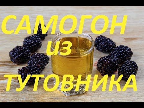 Видео: Самогон из Тутовника (Шелковицы) от БРАГИ до РЕКТИФИКАТА.