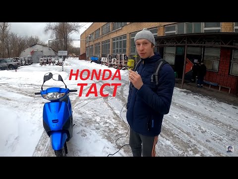 Видео: Выбираем cкутер из Японии для езды на работу! Honda Tact AF75