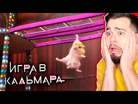Видео: ХОМЯКИ В НАСТОЯЩЕЙ ИГРЕ В КАЛЬМАРА!