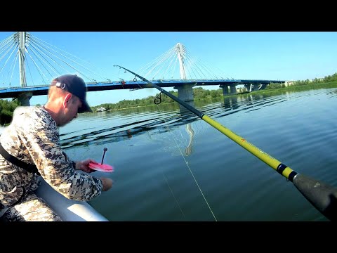 Видео: Кружки, блесна, силикон, отводной! Перепробовали всё....