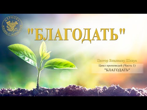 Видео: Благодать | Владимир Шкира