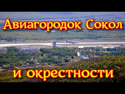 Видео: Магаданская область 2021. Сокол