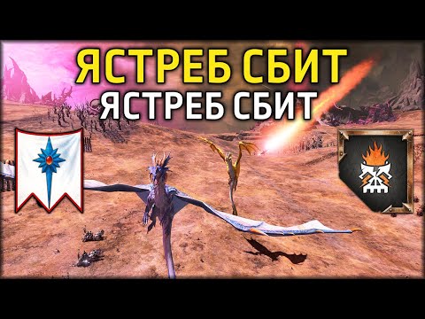 Видео: Ястреб сбит! Ястреб сбит! | Гномы Хаоса vs Высшие Эльфы | Ленды | Total War: WARHAMMER 3