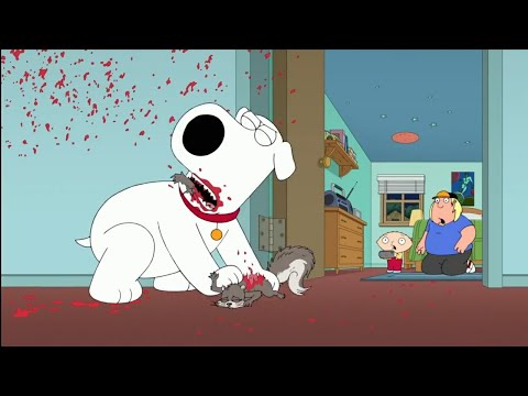Видео: ГРИФФИНЫ ЛУЧШЕЕ #20| СМЕШНЫЕ МОМЕНТЫ ИЗ ГРИФФИНОВ| 10 СЕЗОН 23 СЕРИЯ 11 СЕЗОН 4 СЕРИЯ