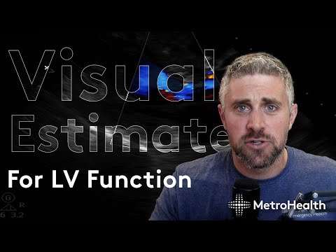 Видео: Визуальная оценка фракции выброса ЛЖ