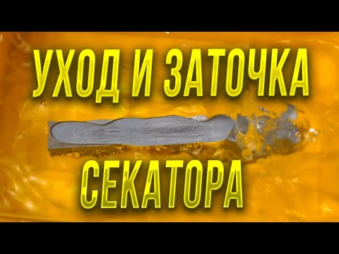 Видео: Если неправильно заточить секатор то его придется просто выбросить, заточка и обслуживание на пример