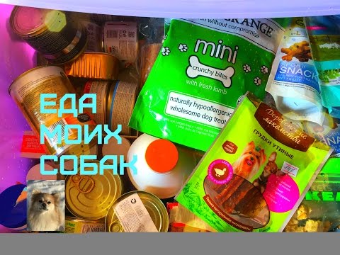 Видео: Корма,лакомства,витамины моих собак