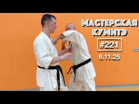 Видео: Мастерская Кумитэ Кёкусинкай (221) / Отработка ударов и учебные поединки (6.11.25)
