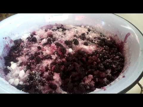 Видео: Варенье из тутовника. #суфикс