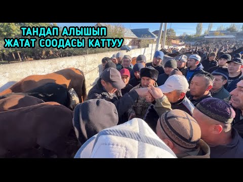 Видео: НООКАТ ЖЫЛКЫ БАЗАРЫ / 20-Октябрь 2024 Жыл