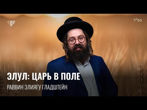 Видео: Элул: Царь в поле. Р. Элиягу Гладштейн