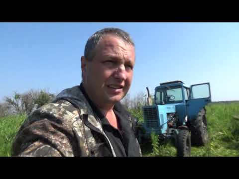 Видео: Валкую сено, делаю ровные рядки. Сенокос 2020.