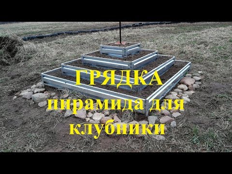 Видео: Грядка пирамида для клубники