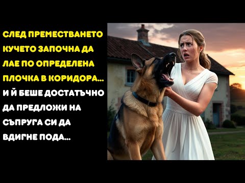 Видео: След преместването, кучето LATIA се приближава до плочка в коридора и когато предлага на СЪПРУГА...